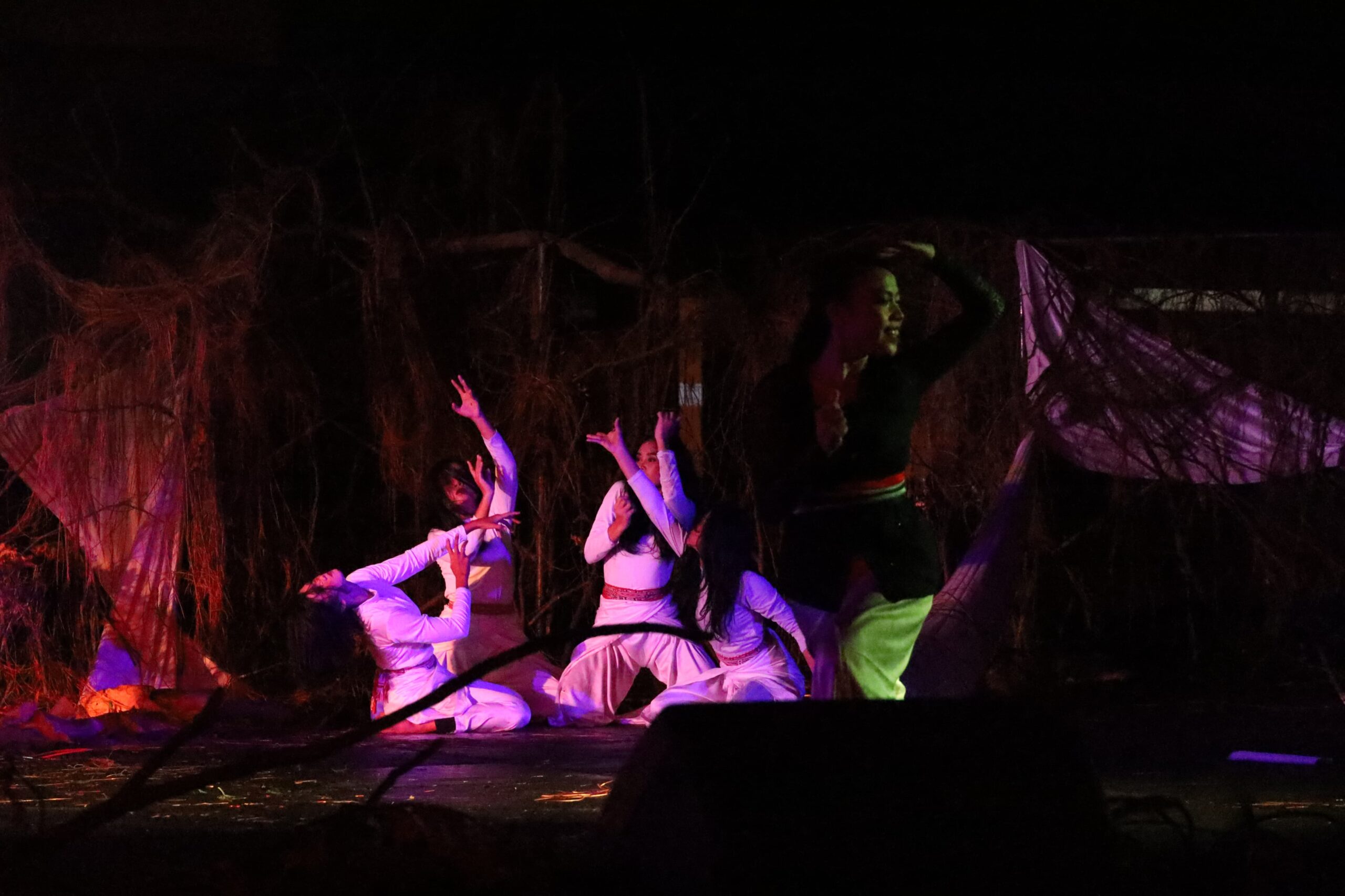 Prodi Seni Pertunjukan